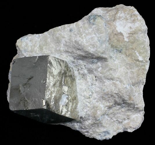 Golden Pyrite Cube In Rock - Navajun, Spain #57750